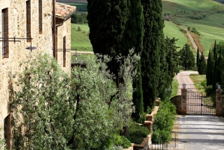 Okolie hotela Castello Banfi Il Borgo